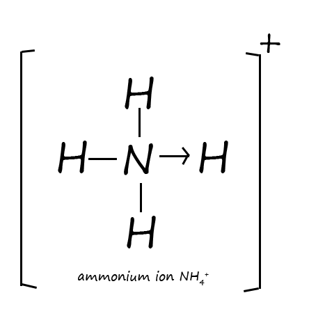 Formation of an ammonium ion from ammonia by the addition of a hydrogen ion.